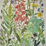 Birds return for shorebird month First Friday