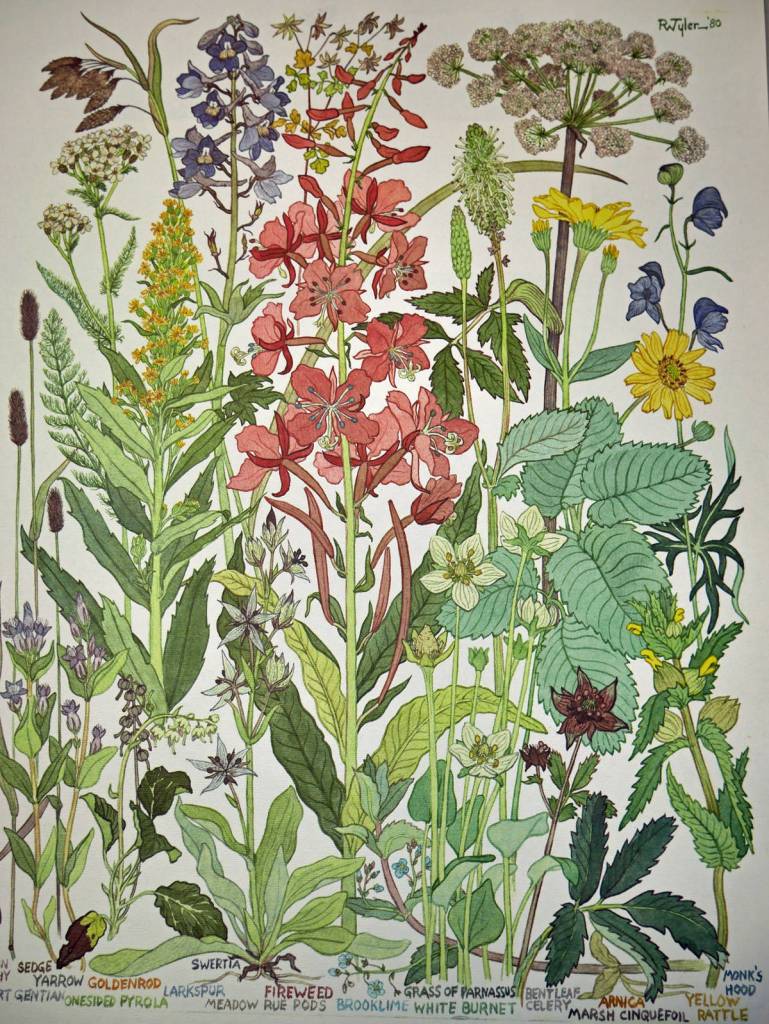 Birds return for shorebird month First Friday