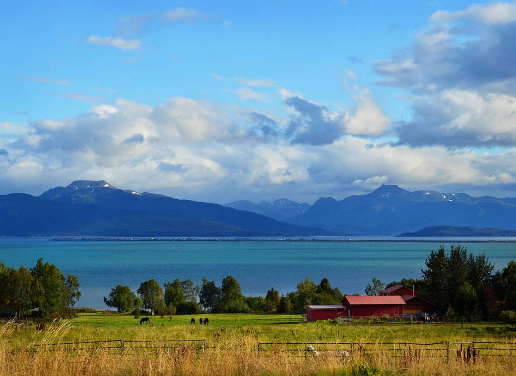 Birds return for shorebird month First Friday