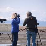 Shorebirds visit right on time