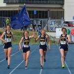Mariner girls take first in track and field; Homer softball team heads to state games