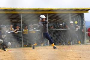 Mariner girls take first in track and field; Homer softball team heads to state games