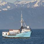 Floating strip joint visits Homer