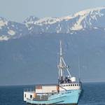 Floating strip joint visits Homer