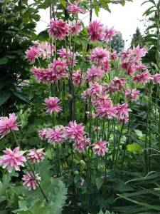 Take care of tools to take care of your garden