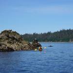 And the livin’ is easy