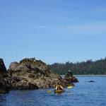 Photo by Michael Armstrong/Homer News Brittany Nathat kayaks by rocks at low tide near Otter Cove Resort in Kachemak Bay on Sunday, June 25. Nathat is a kayak guide at the resort.