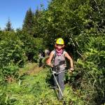 Volunteers needed for trail work parties