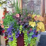 Gardeners Weekend explores challenging local climate