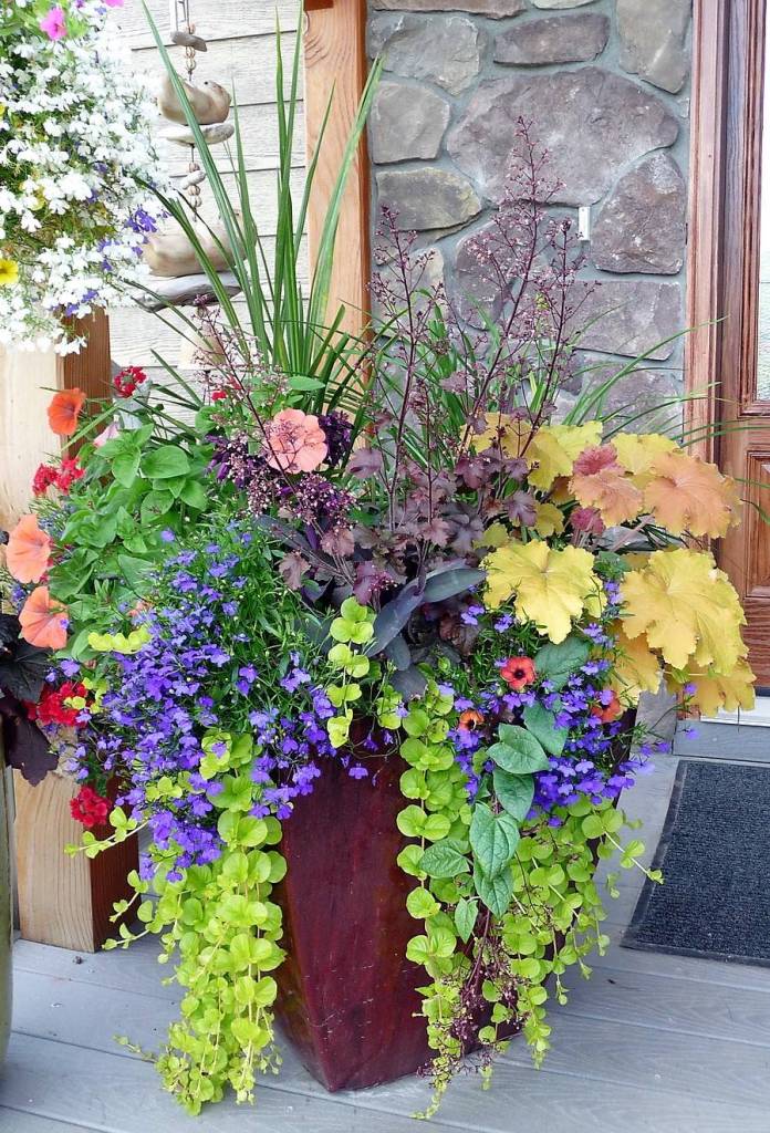 Gardeners Weekend explores challenging local climate