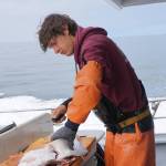Casey McKinnon fillets a halibut as the Irish returns to Homer, Alaska from a halibut fishing trip in Cook Inlet near Mount Iliamna July 16, 2017. According to federal regulations, halibut can be filleted on board into four bottom and top pieces as long as the skin is retained and the carcass for a size-restricted fish is kept. Photo by Michael Armstrong/Homer News