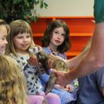 Photo by Megan Pacer/Homer News From left to right: Josey Palm, Winter Herrmann and Elizabeth Parker welcome Oscar the ferret to their classroom at the Girassol Learning Center on Friday, July 21, 2017 in Homer, Alaska. Their class was treated to a special visit from the ferret and his owner, Jeannette Aragones, who read her book called &ldquo;I Am Oscar. I Am in Charge.&rdquo;