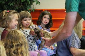 Photo by Megan Pacer/Homer News From left to right: Josey Palm, Winter Herrmann and Elizabeth Parker welcome Oscar the ferret to their classroom at the Girassol Learning Center on Friday, July 21, 2017 in Homer, Alaska. Their class was treated to a special visit from the ferret and his owner, Jeannette Aragones, who read her book called &ldquo;I Am Oscar. I Am in Charge.&rdquo;