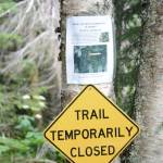 Goshawk can’t stop enjoyment of ‘gem of a trail’