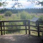 Goshawk can’t stop enjoyment of ‘gem of a trail’