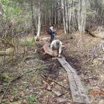 Goshawk can’t stop enjoyment of ‘gem of a trail’