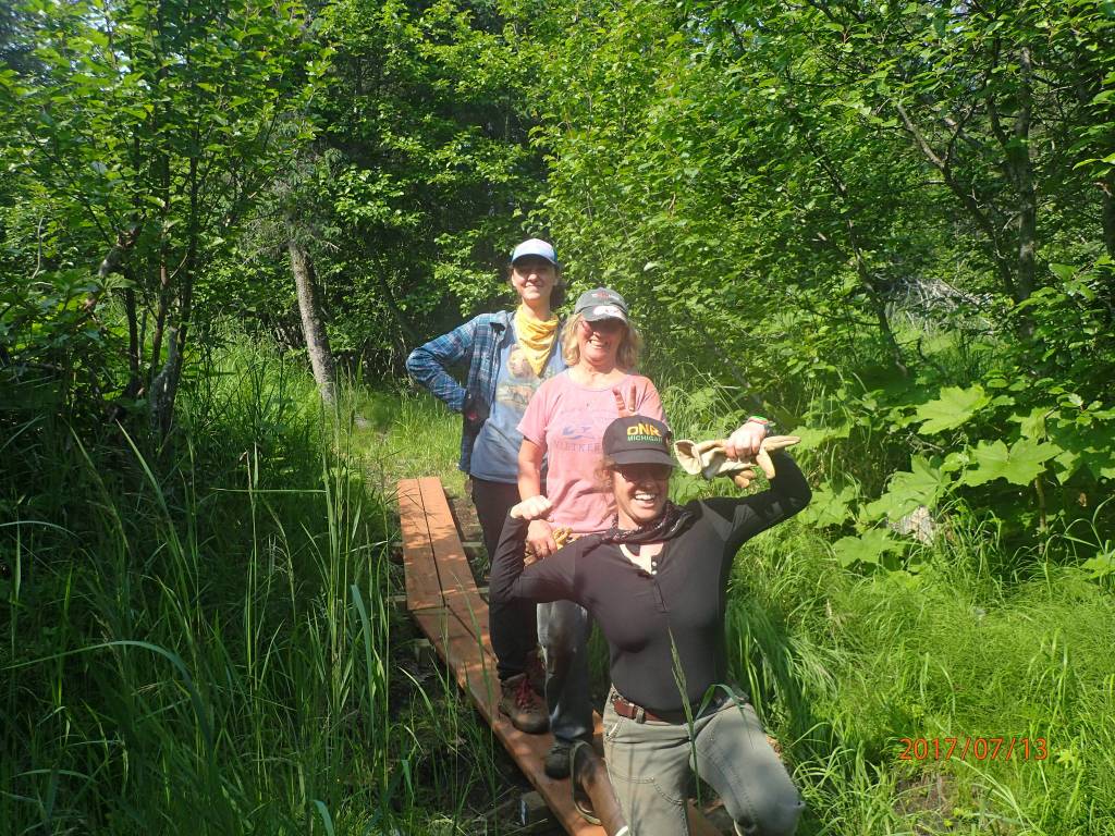 Goshawk can’t stop enjoyment of ‘gem of a trail’