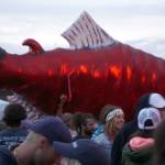 A giant salmon puppet swims through the crows as Rusted Root performs on Saturday night, Aug. 5, 2017, at Salmonfest, Ninilchik, Alaska.(Photo by Michael Armstrong, Homer News)