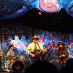 Zil Fessler, far left, Michael Glabicki, left, Liz Berlin, center, and Dirk Miller, right, of Rusted Root perform on Saturday night, Aug. 5, 2017, at Salmonfest, Ninilchik, Alaska. (Photo by Michael Armstrong, Homer News)