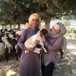 Christina Whiting interacts with a local sheep farmer during one of her drives around the country in 2015 in Jordan. (Photo courtesy Christina Whiting)