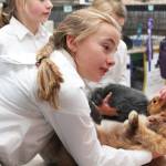 Melanie Carpenter, 11, speaks with onlookers while preparing her rabbit to show on Friday, Aug. 18, 2017 at the Kenai Peninsula Fair in Ninilchik, Alaska. Carpenter showed a pig at the fair this year as well. (Photo by Megan Pacer/Homer News)