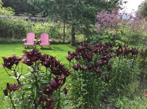 Don rain gear and garden