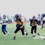 Cougars quarterback Anthony Kalugin (center) and junior Kalinik Reutov (#25), face off against players from Joe Redington Jr/Sr High School on Friday, Sept. 15, 2017 at Homer High School in Homer, Alaska. (Photo by Megan Pacer/Homer News)