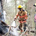 Firefighters knock down small wildfire
