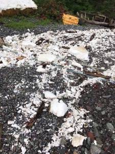 Letters to the editor