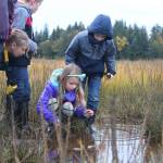 From left to right: Keara Temple, Isaiah Mann, Tatum Kirtley and Tristan Alward peer into the water at the Beluga Slough during a field trip with their classmates from Paul Banks Elementary on Thursday, Sept. 28, 2017 in Homer, Alaska. (Photo by Megan Pacer/Homer News)