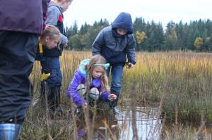 From left to right: Keara Temple, Isaiah Mann, Tatum Kirtley and Tristan Alward peer into the water at the Beluga Slough during a field trip with their classmates from Paul Banks Elementary on Thursday, Sept. 28, 2017 in Homer, Alaska. (Photo by Megan Pacer/Homer News)