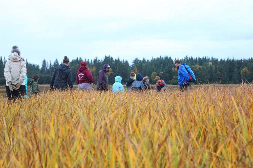 A group of second grade students from Paul Banks Elementary explore the Beluga Slough on a field trip Thursday, Sept. 28, 2017 in Homer, Alaska. (Photo by Megan Pacer/Homer News)