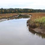 The Beluga Slough, pictured here Thursday, Sept. 28, 2017 in Homer, Alaska, provides myriad functions for the local environment, something students from Paul Banks Elementary learned last Thursday during a field trip there. (Photo by Megan Pacer/Homer News)