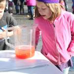 Elementary school students take turns looking at salmon eggs that have been mixed with milt from a male coho and water to start the fertilization process during an egg take demonstration Thursday, Oct. 5, 2017 at the Anchor River in Anchor Point, Alaska. Students from all over the Kenai Peninsula Borough School District participate in the Salmon in the Classroom program, which takes them through the life cycle of salmon. (Photo by Megan Pacer/Homer News)