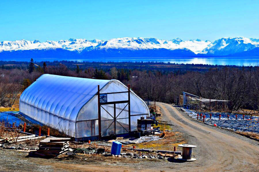 A high tunnel at Homer Gardens. (Photo by Jennifer Tarnacki)