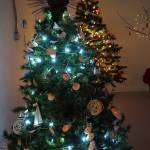 An urchin crowns a Christmas tree decorated by the Center for Alaskan Coastal Studies for a fundraiser Friday, Dec. 1, 2017 in Homer, Alaska benefitting South Peninsula Haven House. The tree also had ornaments made from oyster shells. Local nonprofits decorated trees that were auctioned off in a silent auction at a space Haven House uses for special events on Bunnell Avenue. (Photo by Michael Armstrong, Homer News)