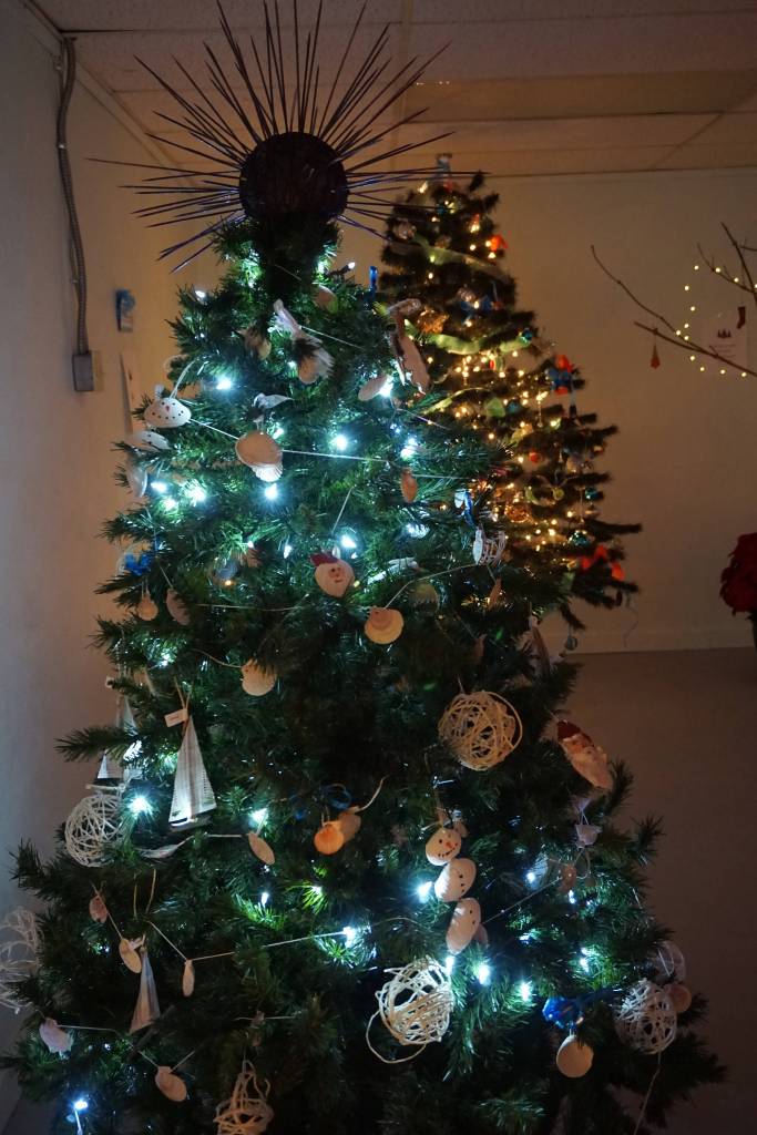An urchin crowns a Christmas tree decorated by the Center for Alaskan Coastal Studies for a fundraiser Friday, Dec. 1, 2017 in Homer, Alaska benefitting South Peninsula Haven House. The tree also had ornaments made from oyster shells. Local nonprofits decorated trees that were auctioned off in a silent auction at a space Haven House uses for special events on Bunnell Avenue. (Photo by Michael Armstrong, Homer News)
