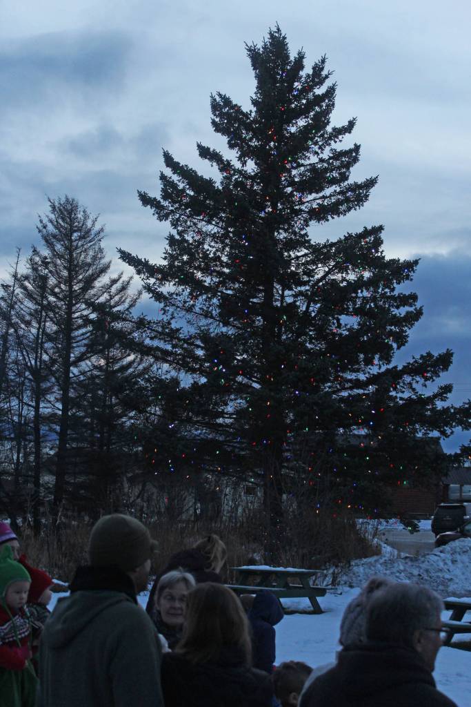 The tree outside the Homer Chamber of Commerce building is lit up with lights to celebrate the holiday season on Friday, Dec. 1, 2017 in Homer, Alaska. The Chamber hosts Santa Clause to do the honors, and visitors can enjoy music and snacks while children relay to him their Christmas wishes. (Photo by Megan Pacer/Homer News)