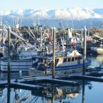 Boats are reflected in smooth waters at the Homer Harbor onFriday, Dec. 8, 2017 in Homer, Alaska &mdash; a rare sunny day during a month that has otherwise been cloudy and wet. (Photo by Michael Armstrong, Homer News)