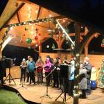 Members of the Homer High School Swing Choir serenade passersby from a pavilion on the Bear Creek Winery Gardens on Saturday, Dec. 16, 2017 near Homer, Alaska. The business hosts each year the Bear Creek Winery Garden of Lights, which feature a lighted evening walk through the gardens, which are decked out with holiday lights and structures. (Photo by Megan Pacer/Homer News)