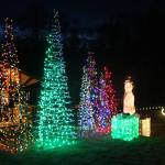 Lighted tree and present structures decorate the lawn Saturday, Dec. 16, 2017 at the Bear Creek Winery Gardens near Homer, Alaska which host a lighted walk each year complete with performances of the Homer High School Swing Choir. (Photo by Megan Pacer/Homer News)