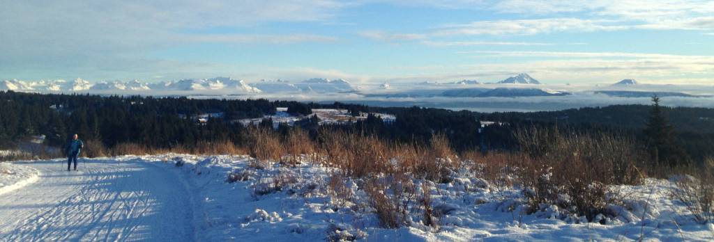 Skiers do the Sunset Loop Sunday on the Kachemak Nordic Ski Club trails on Diamond Ridge. Through the trailhead at the Diamond Ridge Fire Station, skiers can access the trail with a fabulous view of Kachemak Bay. (Photo by Michael Armstrong, Homer News)