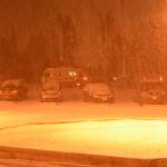 About 50 cars and trucks &mdash; including a few motorhomes &mdash; parked at Homer High School during the tsunami evacuation. Another 40 people and four dogs and two cats waited inside. (Photo by Michael Armstrong, Homer News) About 50 cars and trucks &mdash; including a few motorhomes &mdash; parked at Homer High School during the tsunami evacuation. Another 40 people and four dogs and two cats waited inside. (Photo by Michael Armstrong, Homer News)