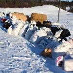 Bags of supplies and bales of hay await their corresponding mushing teams at a race checkpoint Saturday, Jan. 27, 2018 outside McNeil Canyon Elementary School near Homer, Alaska. (Photo by Megan Pacer/Homer News)