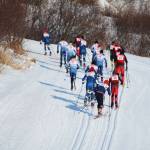 Skiers from Kenai Central High School, Soldotna High School, Homer High School and Seward High School take off up the first hill of the boys&rsquo; varsity 5 kilometer classic race Friday, Feb. 2, 2018 at an invitational at the Lookout Ski Trails near Homer, Alaska. (Photo by Megan Pacer/Homer News)