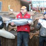 Ron Johnson, center, holds his winning king salmon of 25.65 pounds, at the 24th annual Homer Winter King Tournament on Saturday, March 23, 2017. Finishing in second, right, is Gino Del Frate of Palmer, with a 25.10 king, and in third is Gary Deiman, left, with a 24.30 king. (Photo by Michael Armstrong, Homer News)