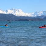 Two anglers fish just off shore in Kachemak Bay from their kayaks during this year&rsquo;s Winter King Salmon Tournament on Saturday, March 24, 2018 in Homer, Alaska. The winning fish this year weighed 24.6 pounds. (Photo by Megan Pacer/Homer News)