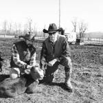 Alaskan cowboys bring local beef to the table