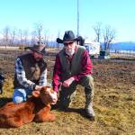 Alaskan cowboys bring local beef to the table