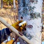 After a hole is drilled, a drain called a spiel is inserted. This one is made of plastic tubing. (Photo by Jennifer Tarnacki)
